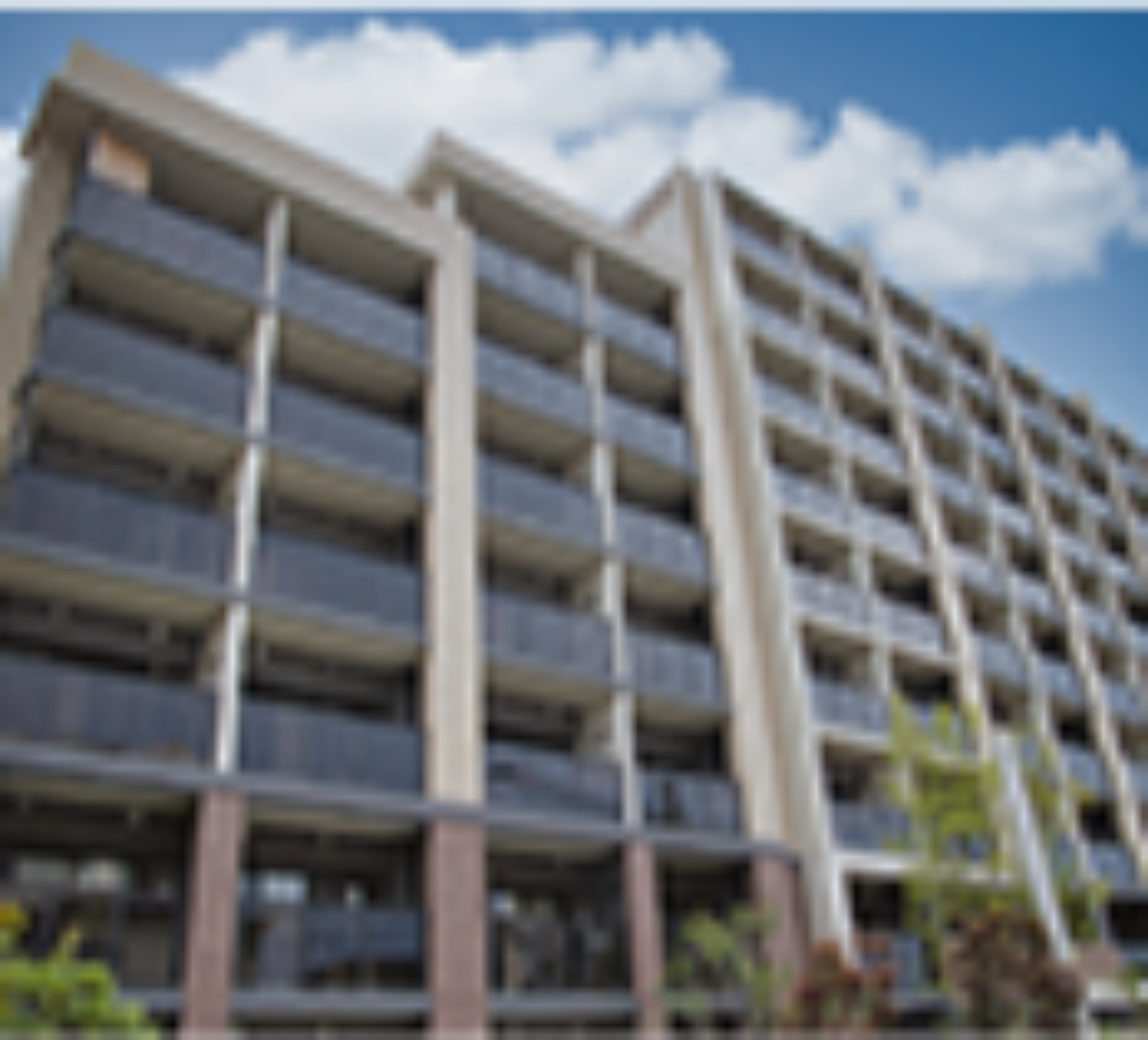 金融内部監査サポート